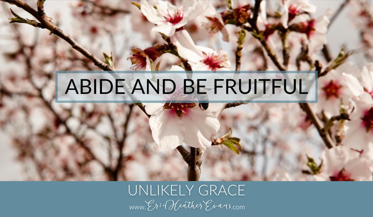 Abide & Be Fruitful
