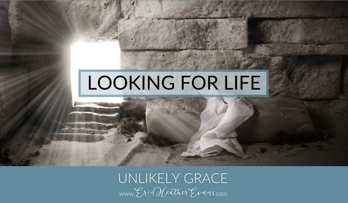 LOOKING FOR LIFE